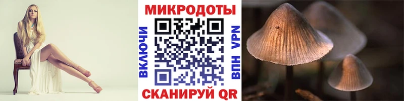 Купить закладки  Билибино  Псилоцибиновые грибы Psilocybine cubensis 